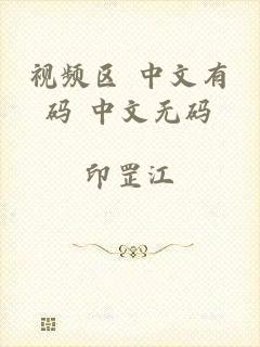 视频区 中文有码 中文无码